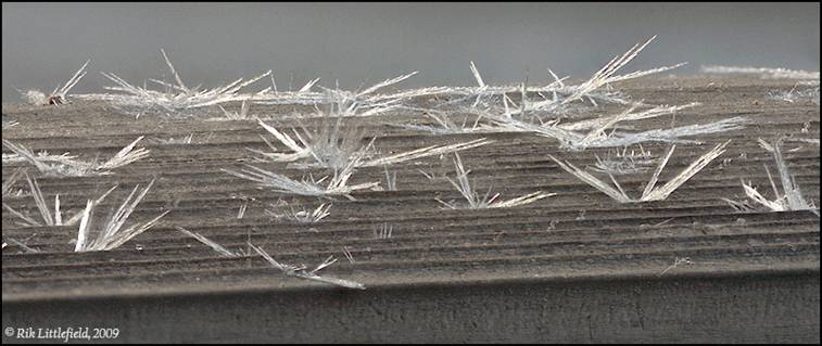 Frost spikes, 3” wide by 4 “ deep, 17 frames.
