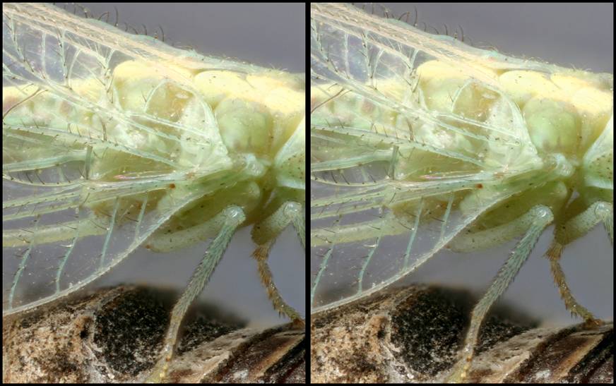 image004.jpg image004.jpg