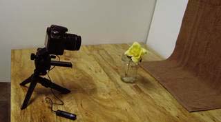 image009.jpg image009.jpg