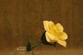 image011.jpg image011.jpg