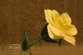 image012.jpg image012.jpg