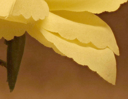 pmaxringcrop2.jpg pmaxringcrop2.jpg