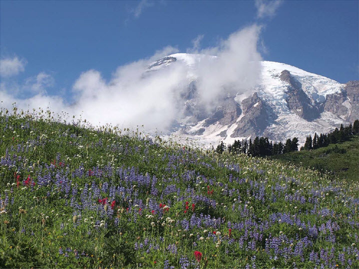 mountrainierfinal.jpg mountrainierfinal.jpg