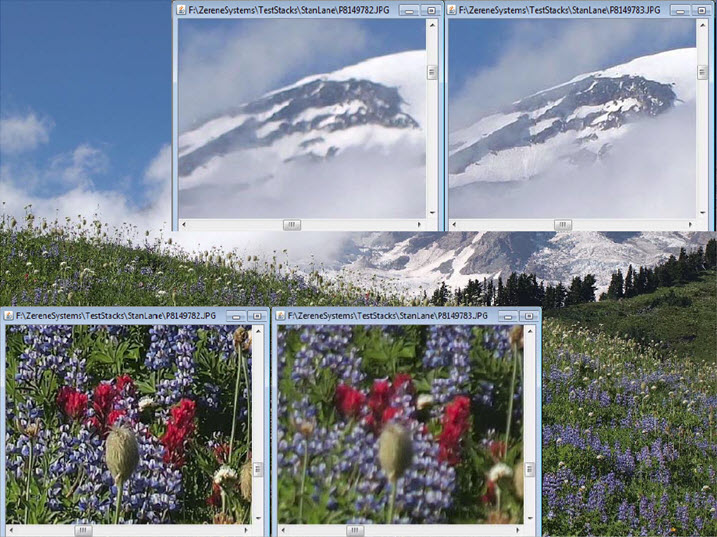 mountrainiersourcedetails.jpg mountrainiersourcedetails.jpg