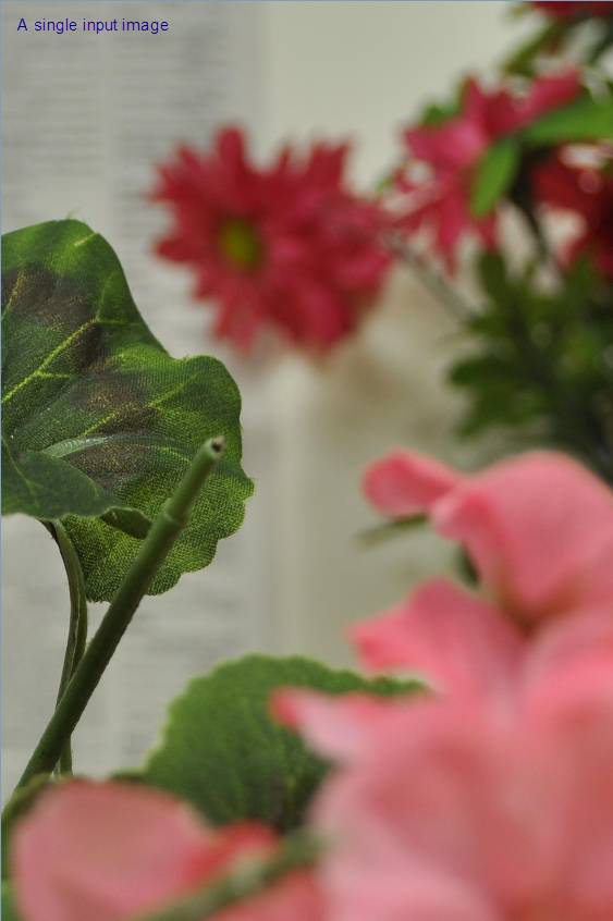 image003.jpg image003.jpg