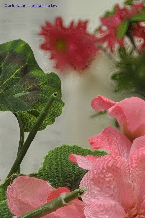 image005.jpg image005.jpg