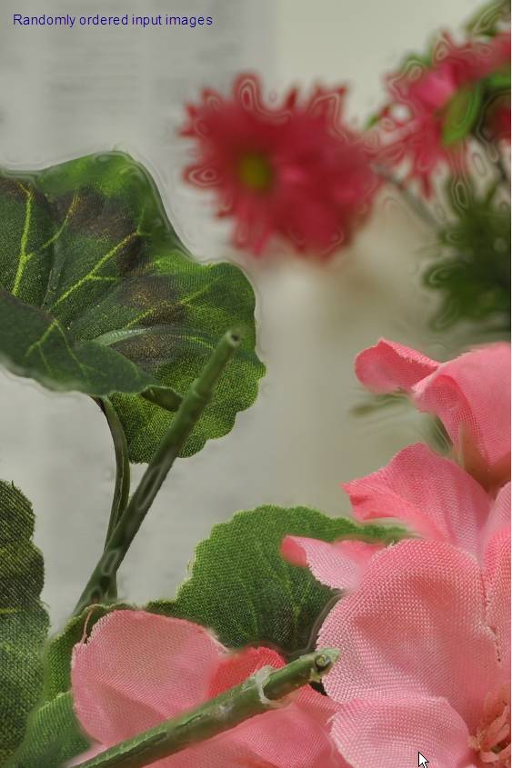 image006.jpg image006.jpg