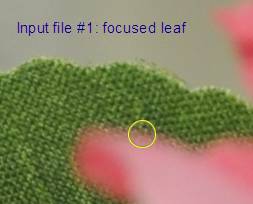 image013.jpg image013.jpg